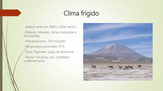 Clima frígido
-Altitud: entre los 4000 y 5000 msnm.
-Relieves: Mesetas, zonas onduladas y
escarpadas.
-Precipitaciones: 700 mm/año.
-Temperatura promedio: 6º C.
-Flora: Pajonales, puya de Raimondi.
-Fauna: Vizcacha, suri, camélidos
sudamericanos
 