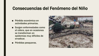 Consecuencias del Fenómeno del Niño
■ Pérdida económica en
actividades primarias.
■ Surgen enfermedades como
el cólera, que en ocasiones
se transforman en
epidemias muy difíciles de
erradicar.
■ Pérdidas pesqueras.
 