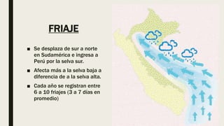 FRIAJE
..■ Se desplaza de sur a norte
en Sudamérica e ingresa a
Perú por la selva sur.
■ Afecta más a la selva baja a
diferencia de a la selva alta.
■ Cada año se registran entre
6 a 10 friajes (3 a 7 días en
promedio)
 