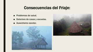 Consecuencias del Friaje:
■ Problemas de salud.
■ Deterioro de casas y escuelas.
■ Ausentismo escolar.
 