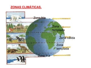 ZONAS CLIMÁTICAS.
Zona fría
Zona fría
Zona
templada
Zona
templada
Zona cálida
 