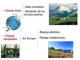  Climas fríos
- Altas montañas.
- Alrededor de los
círculos polares.
 Climas
templados - En Europa
- Bosque atlántico.
- Paisaje mediterráneo.
 