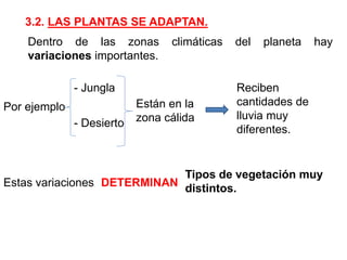 3.2. LAS PLANTAS SE ADAPTAN.
Dentro de las zonas climáticas del planeta hay
variaciones importantes.
Por ejemplo
- Jungla
- Desierto
Están en la
zona cálida
Reciben
cantidades de
lluvia muy
diferentes.
Estas variaciones DETERMINAN
Tipos de vegetación muy
distintos.
 