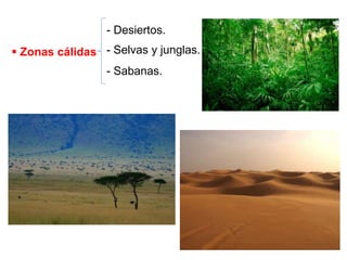  Zonas cálidas
- Desiertos.
- Selvas y junglas.
- Sabanas.
 