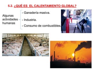 5.2. ¿QUÉ ES EL CALENTAMIENTO GLOBAL?
Algunas
actividades
humanas
- Ganadería masiva.
- Industria.
- Consumo de combustibles.
 
