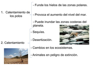 1. Calentamiento de
los polos
- Funde los hielos de las zonas polares.
- Provoca el aumento del nivel del mar.
- Puede inundar las zonas costeras del
planeta.
2. Calentamiento
- Sequías.
- Desertización.
- Cambios en los ecosistemas.
- Animales en peligro de extinción.
 