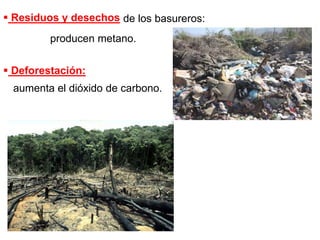  Residuos y desechos de los basureros:
producen metano.
 Deforestación:
aumenta el dióxido de carbono.
 