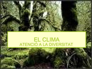 EL CLIMA ATENCIÓ A LA DIVERSITAT 