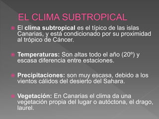  El clima subtropical es el típico de las islas
Canarias, y está condicionado por su proximidad
al trópico de Cáncer.
 Temperaturas: Son altas todo el año (20º) y
escasa diferencia entre estaciones.
 Precipitaciones: son muy escasa, debido a los
vientos cálidos del desierto del Sahara.
 Vegetación: En Canarias el clima da una
vegetación propia del lugar o autóctona, el drago,
laurel.
 