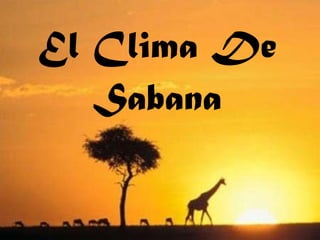 El Clima De Sabana 