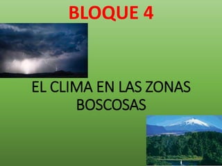 EL CLIMA EN LAS ZONAS
BOSCOSAS
BLOQUE 4
 