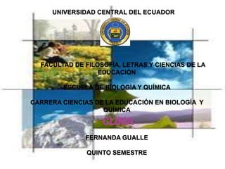 UNIVERSIDAD CENTRAL DEL ECUADOR




  FACULTAD DE FILOSOFÍA, LETRAS Y CIENCIAS DE LA
                  EDUCACIÓN

        ESCUELA DE BIOLOGÍA Y QUÍMICA

CARRERA CIENCIAS DE LA EDUCACIÓN EN BIOLOGÍA Y
                   QUÍMICA

                   CLIMA
              FERNANDA GUALLE

              QUINTO SEMESTRE
 