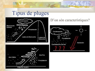Tipus de pluges D’on són característiques? 