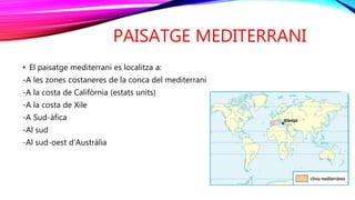 PAISATGE MEDITERRANI
• El paisatge mediterrani es localitza a:
-A les zones costaneres de la conca del mediterrani
-A la costa de Califòrnia (estats units)
-A la costa de Xile
-A Sud-àfica
-Al sud
-Al sud-oest d’Austràlia
 