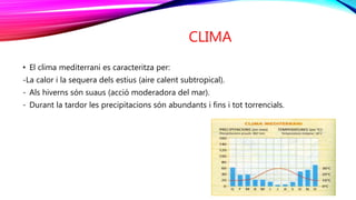 CLIMA
• El clima mediterrani es caracteritza per:
-La calor i la sequera dels estius (aire calent subtropical).
- Als hiverns són suaus (acció moderadora del mar).
- Durant la tardor les precipitacions són abundants i fins i tot torrencials.
 