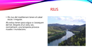 RIUS
• Els rius del mediterrani tenen el cabal
escàs i irregular.
Als estius tenen poca aigua o s’assequen
del tot. Després d’un estiu sec,
normalment, una tempesta provoca
riuades i inundacions.
 