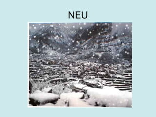 NEU
 