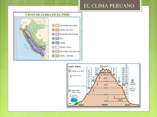 EL CLIMA PERUANO
 
