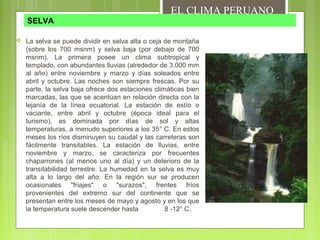 SELVA
 La selva se puede dividir en selva alta o ceja de montaña
(sobre los 700 msnm) y selva baja (por debajo de 700
msnm). La primera posee un clima subtropical y
templado, con abundantes lluvias (alrededor de 3.000 mm
al año) entre noviembre y marzo y días soleados entre
abril y octubre. Las noches son siempre frescas. Por su
parte, la selva baja ofrece dos estaciones climáticas bien
marcadas, las que se acentúan en relación directa con la
lejanía de la línea ecuatorial. La estación de estío o
vaciante, entre abril y octubre (época ideal para el
turismo), es dominada por días de sol y altas
temperaturas, a menudo superiores a los 35° C. En estos
meses los ríos disminuyen su caudal y las carreteras son
fácilmente transitables. La estación de lluvias, entre
noviembre y marzo, se caracteriza por frecuentes
chaparrones (al menos uno al día) y un deterioro de la
transitabilidad terrestre. La humedad en la selva es muy
alta a lo largo del año. En la región sur se producen
ocasionales "friajes" o "surazos", frentes fríos
provenientes del extremo sur del continente que se
presentan entre los meses de mayo y agosto y en los que
la temperatura suele descender hasta 8 -12° C.
EL CLIMA PERUANO
 