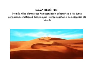 CLIMA DESÈRTIC:
Només hi ha plantes que han aconseguit adaptar-se a les dures
condicions climàtiques. Sense aigua i sense vegetació, són escassos els
animals.

 