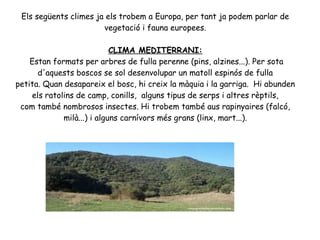 Els següents climes ja els trobem a Europa, per tant ja podem parlar de
vegetació i fauna europees.
CLIMA MEDITERRANI:
Estan formats per arbres de fulla perenne (pins, alzines...). Per sota
d'aquests boscos se sol desenvolupar un matoll espinós de fulla
petita. Quan desapareix el bosc, hi creix la màquia i la garriga. Hi abunden
els ratolins de camp, conills, alguns tipus de serps i altres rèptils,
com també nombrosos insectes. Hi trobem també aus rapinyaires (falcó,
milà...) i alguns carnívors més grans (linx, mart...).

 