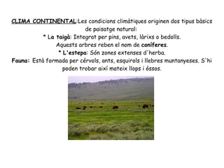 CLIMA CONTINENTAL:Les condicions climàtiques originen dos tipus bàsics
de paisatge natural:
* La taigà: Integrat per pins, avets, làrixs o bedolls.
Aquests arbres reben el nom de coníferes.
* L'estepa: Són zones extenses d'herba.
Fauna: Està formada per cérvols, ants, esquirols i llebres muntanyeses. S'hi
poden trobar així mateix llops i óssos.

 