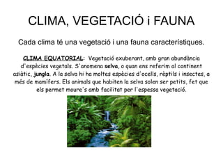 CLIMA, VEGETACIÓ i FAUNA
Cada clima té una vegetació i una fauna característiques.
CLIMA EQUATORIAL: Vegetació exuberant, amb gran abundància
d'espècies vegetals. S'anomena selva, o quan ens referim al continent
asiàtic, jungla. A la selva hi ha moltes espècies d'ocells, rèptils i insectes, a
més de mamífers. Els animals que habiten la selva solen ser petits, fet que
els permet moure's amb facilitat per l'espessa vegetació.

 