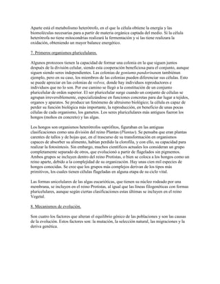 Aparte está el metabolismo heterótrofo, en el que la célula obtiene la energía y las
biomoléculas necesarias para a partir de materia orgánica captada del medio. Si la célula
heterótrofa no tiene mitocondrias realizará la fermentación y si las tiene realizara la
oxidación, obteniendo un mayor balance energético.

7. Primeros organismos pluricelulares.

Algunos protozoos tienen la capacidad de formar una colonia en la que siguen juntos
después de la división celular, siendo esta cooperación beneficiosa para el conjunto, aunque
siguen siendo seres independientes. Las colonias de goniumo pandorinason tambiénun
ejemplo, pero en su caso, los miembros de las colonias pueden diferenciar sus células. Esto
se puede apreciar en las colonias de volvox, donde hay individuos reproductores e
individuos que no lo son. Por ese camino se llegó a la constitución de un conjunto
pluricelular de orden superior. El ser pluricelular surge cuando un conjunto de células se
agrupan irreversiblemente, especializándose en funciones concretas para dar lugar a tejidos,
organos y aparatos. Se produce un fenómeno de altruismo biológico; la célula es capaz de
perder su función biológica más importante, la reproducción, en beneficio de unas pocas
células de cada organismo, los gametos. Los seres pluricelulares más antiguos fueron los
hongos (mohos en concreto) y las algas.

Los hongos son organismos heterótrofos saprófitos, figuraban en las antiguas
clasificaciones como una división del reino Plantas (Plantae). Se pensaba que eran plantas
carentes de tallos y de hojas que, en el trascurso de su transformación en organismos
capaces de absorber su alimento, habían perdido la clorofila, y con ello, su capacidad para
realizar la fotosíntesis. Sin embargo, muchos científicos actuales los consideran un grupo
completamente separado de otros, que evolucionó a partir de flagelados sin pigmentos.
Ambos grupos se incluyen dentro del reino Protistas, o bien se coloca a los hongos como un
reino aparte, debido a la complejidad de su organización. Hay unas cien mil especies de
hongos conocidas. Se cree que los grupos más complejos derivan de los tipos más
primitivos, los cuales tienen células flageladas en alguna etapa de su ciclo vital.

Las formas unicelulares de las algas eucarióticas, que tienen su núcleo rodeado por una
membrana, se incluyen en el reino Protistas, al igual que las líneas filogenéticas con formas
pluricelulares, aunque según ciertas clasificaciones estas últimas se incluyen en el reino
Vegetal.

8. Mecanismos de evolución.

Son cuatro los factores que alteran el equilibrio génico de las poblaciones y son las causas
de la evolución. Estos factores son: la mutación, la selección natural, las migraciones y la
deriva genética.
 