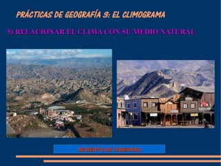 PRÁCTICAS DE GEOGRAFÍA 3: EL CLIMOGRAMA 
5) RELACIONAR EL CCLLIIMMAA CCOONN SSUU MMEEDDIIOO NNAATTUURRAALL 
DDEESSIIEERRTTOO DDEE TTAABBEERRNNAASS 
 