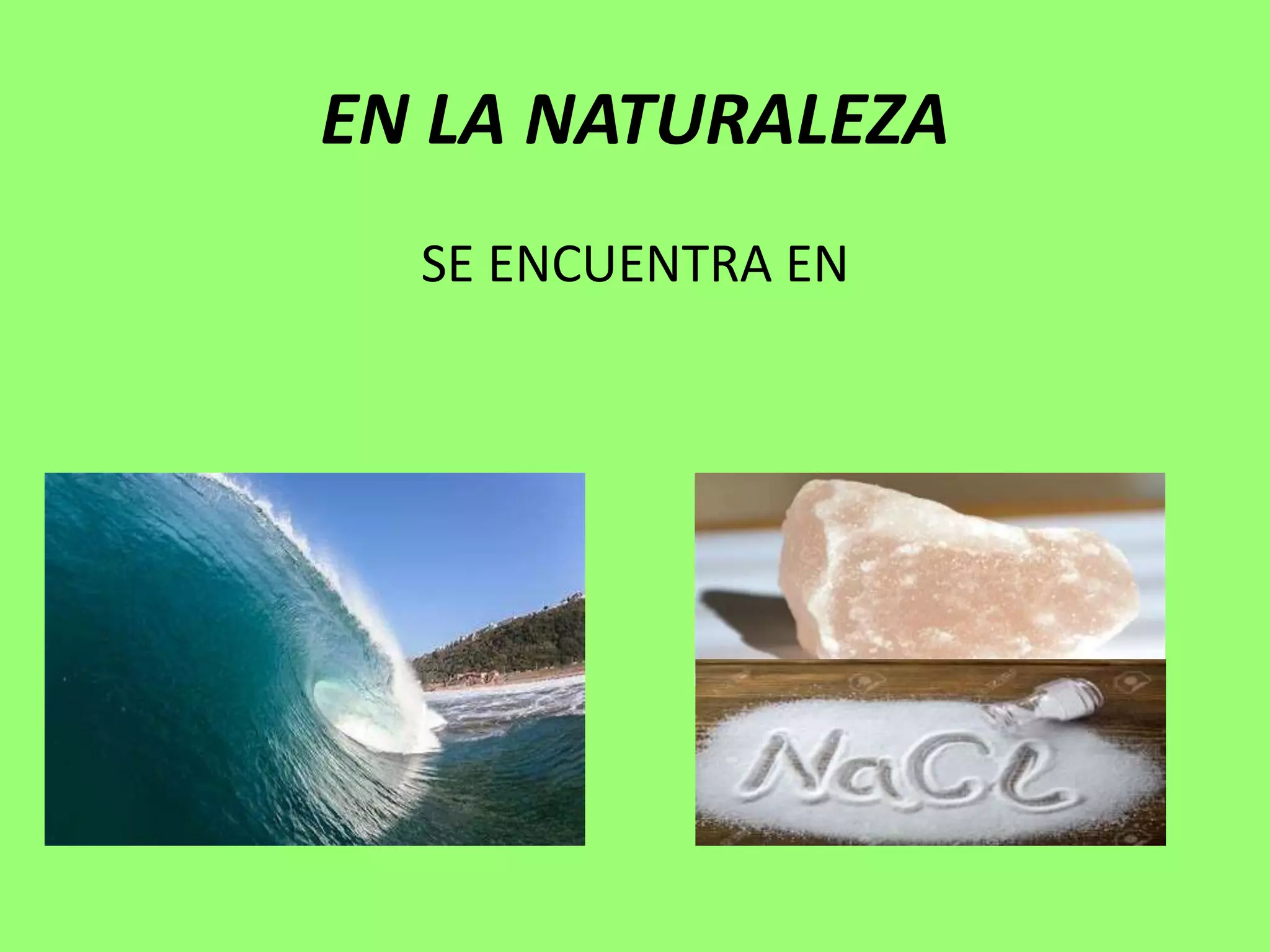 EN LA NATURALEZA
SE ENCUENTRA EN