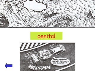 cenital 