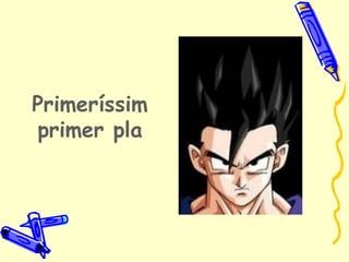 Primeríssim
primer pla
 