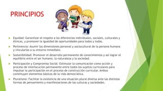 PRINCIPIOS
 Equidad: Garantizar el respeto a las diferencias individuales, sociales, culturales y
étnicas, y promover la igualdad de oportunidades para todos y todas.
 Pertinencia: Asumir las dimensiones personal y sociocultural de la persona humana
y vincularlas a su entorno inmediato.
 Sostenibilidad: Promover el desarrollo permanente de conocimientos y así lograr el
equilibrio entre el ser humano, la naturaleza y la sociedad.
 Participación y Compromiso Social: Estimular la comunicación como acción y
proceso de interlocución permanente entre todos los sujetos curriculares para
impulsar la participación en el proceso de construcción curricular. Ambos
constituyen elementos básicos de la vida democrática.
 Pluralismo: Facilitar la existencia de una situación plural diversa ante las distintas
formas de pensamiento y manifestaciones de las culturas y sociedades.
 