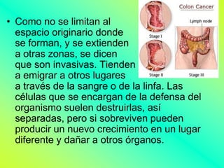 • Como no se limitan al
  espacio originario donde
  se forman, y se extienden
  a otras zonas, se dicen
  que son invasivas. Tienden
  a emigrar a otros lugares
  a través de la sangre o de la linfa. Las
  células que se encargan de la defensa del
  organismo suelen destruirlas, así
  separadas, pero si sobreviven pueden
  producir un nuevo crecimiento en un lugar
  diferente y dañar a otros órganos.
 