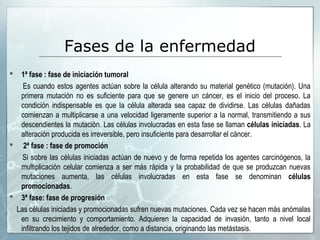 Fases de la enfermedad
 1ª fase : fase de iniciación tumoral
Es cuando estos agentes actúan sobre la célula alterando su material genético (mutación). Una
primera mutación no es suficiente para que se genere un cáncer, es el inicio del proceso. La
condición indispensable es que la célula alterada sea capaz de dividirse. Las células dañadas
comienzan a multiplicarse a una velocidad ligeramente superior a la normal, transmitiendo a sus
descendientes la mutación. Las células involucradas en esta fase se llaman células iniciadas. La
alteración producida es irreversible, pero insuficiente para desarrollar el cáncer.
 2ª fase : fase de promoción
Si sobre las células iniciadas actúan de nuevo y de forma repetida los agentes carcinógenos, la
multiplicación celular comienza a ser más rápida y la probabilidad de que se produzcan nuevas
mutaciones aumenta, las células involucradas en esta fase se denominan células
promocionadas.
 3ª fase: fase de progresión
Las células iniciadas y promocionadas sufren nuevas mutaciones. Cada vez se hacen más anómalas
en su crecimiento y comportamiento. Adquieren la capacidad de invasión, tanto a nivel local
infiltrando los tejidos de alrededor, como a distancia, originando las metástasis.
 