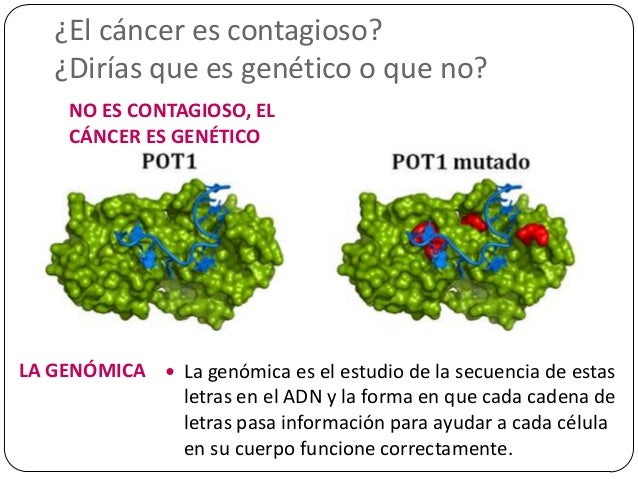 el cáncer