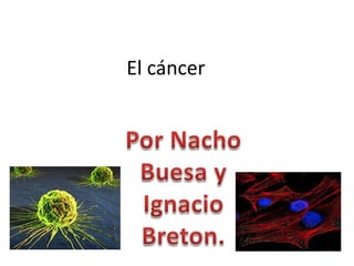 El cáncer

 