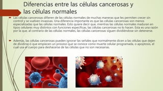 Diferencias entre las células cancerosas y
las células normales
 Las células cancerosas difieren de las células normales de muchas maneras que les permiten crecer sin
control y se vuelven invasivas. Una diferencia importante es que las células cancerosas son menos
especializadas que las células normales. Esto quiere decir que, mientras las células normales maduran en
tipos celulares muy distintos con funciones específicas, las células cancerosas no lo hacen. Esta es una razón
por la que, al contrario de las células normales, las células cancerosas siguen dividiéndose sin detenerse.
 Además, las células cancerosas pueden ignorar las señales que normalmente dicen a las células que dejen
de dividirse o que empiecen un proceso que se conoce como muerte celular programada, o apoptosis, el
cual usa el cuerpo para deshacerse de las células que no son necesarias.
 
