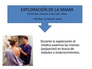 EXPLORACIÓN DE LA MAMA
  20-30 años, examen 1 vez cada 3 años
      > 40 años, un examen anual




              Durante la exploración el
              médico examina las mamas
              (palpación) en busca de
              nódulos o endurecimientos.
 