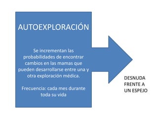 AUTOEXPLORACIÓN

       Se incrementan las
  probabilidades de encontrar
   cambios en las mamas que
pueden desarrollarse entre una y
    otra exploración médica.       DESNUDA
                                   FRENTE A
 Frecuencia: cada mes durante      UN ESPEJO
         toda su vida
 