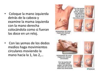 • Coloque la mano izquierda
  detrás de la cabeza y
  examine la mama izquierda
  con la mano derecha
  colocándola como si fueran
  las doce en un reloj.

• Con las yemas de los dedos
  medios haga movimientos
  circulares moviendo la
  mano hacia la 1, las 2,…
 