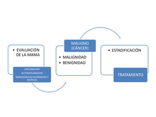MALIGNO
• EVALUACIÓN                     (CÁNCER)
                                            • ESTADIFICACIÓN
  DE LA MAMA
                            • MALIGNIDAD
                            • BENIGNIDAD
       EXPLORACION
     AUTOEXPLORACION
 MAMOGRAFIAS ECOGRAFIAS Y
                                                TRATAMIENTO
       BIOPSIAS
 