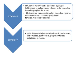 • IIIA, tumor <5 cm y se ha extendido a ganglios
                linfáticos de la axila o tumor >5 cm y se ha extendido
                hasta los ganglios del brazo.
              • IIIB, tumor de cualquier tamaño y extendido hacia los
ESTADIO III     tejidos cercanos a la mama: piel, pared
                torácica, músculos y costillas.




               • se ha diseminado (metastatizado) a sitios distantes,
                 como huesos, pulmones o ganglios linfáticos
                 alejados de la mama.
ESTADIO IV
 