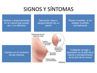 SIGNOS Y SÍNTOMAS
Nódulo o engrosamiento    Secreción clara o     Pezón invertido, si no
en la mama que puede     sanguinolenta de un      estaba invertido
   ser o no doloroso           pezón               normalmente




                                                  Cualquier arruga o
Cambio en el contorno                          depresión en la piel de la
   de las mamas                                 mama y enrojecimiento
                                                de la piel de la mama
 