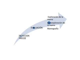 Exploración de la
                         mama
                         Autoexploración de
                         la mama
            EVALUACIÓN   Mamografía


DETECCION
PRECOZ
 