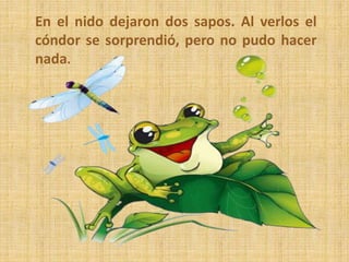 En el nido dejaron dos sapos. Al verlos el
cóndor se sorprendió, pero no pudo hacer
nada.
 