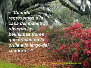 - “Cuando 
regresemos a la 
casa del maestro, 
observa las 
bellísimas flores 
que crecen en la 
orilla a lo largo del 
sendero…" 
www.EsperanzaSanchez.com 
 
