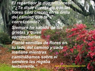 El repartidor le dijo entonces: 
-”¿Te diste cuenta de que las 
flores sólo crecen en la orilla 
del camino que te 
corresponde?. 
Siempre he sabido de tus 
grietas y quise 
aprovecharlas. 
Planté semillas de flores en 
tu lado del camino y cada 
mañana mientras 
caminábamos sobre el 
sendero las regaba 
lentamente.” www.EsperanzaSanchez.com 
 