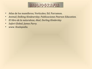 bibliografia
•   Atlas de los mamíferos; Verticales; Ed. Parramon.
•   Animal; Dolking Kindewrsley; Publicaciones Pearson Education.
•   El libro de la naturaleza; Akal; Dorling Kindersley
•   Safari Global; James Parry.
•   www. Koalapedia.
 