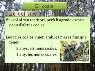 El coala.
                 El coala.
Amb quí viu?
Viu sol al seu territori, però li agrada estar a
  prop d’altres coales.

Les cries coales viuen amb les mares fins que
  tenen:
      3 anys, els nens coales.
      1 any, les nenes coales.
 